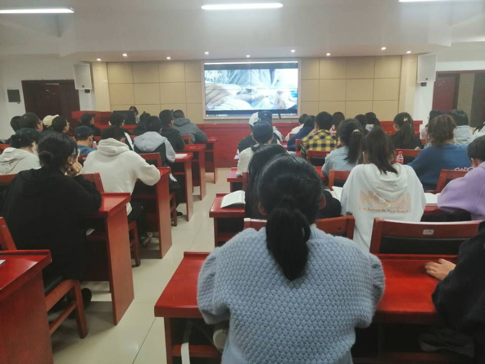 9c1e087389ec479b9d273034f9c76e85.png 9c1e087389ec479b9d273034f9c76e85.png